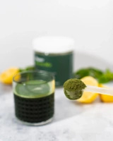 Vilgain witaminy 13 składników w proszku, superfoods spirulina chlorella 300 g