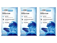 Ice Plast chłodzący plaster żelowy BÓL GŁOWY MIGRENA 2 sztuki 3 opakowania