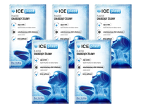 Ice Plast chłodzący plaster żelowy BÓL GŁOWY MIGRENA 2 sztuki 5 opakowań