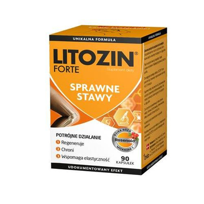 Litozin Forte x90 kap.