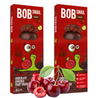 Bob Snail Ciasteczka owocowe Jabłko Wiśnia w Belgijskiej ciemnej czekoladzie 2 x 30 g