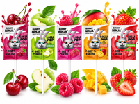 Bunny Ninja lizak owocowy LOSOWY SMAK bez cukru 1 sztuka 6 g 