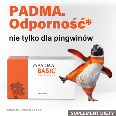 Padma BASIC na ODPORNOŚĆ 100 kapsułek