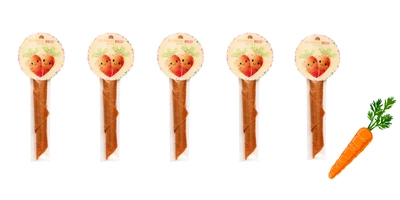 Naturalnie zdrowi rolls warzywny o smaku marchewki SOLO zdrowa przekąska  ZESTAW 5 x 8 g