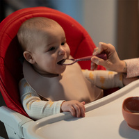 BoboVita Porcja Zbóż Kaszka bezmleczna 7 zbóż jagoda-jeżyna-jabłko po 8. miesiącu życia 170g