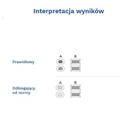 Diather Test Magni-man płodność mężczyzn 2 testy 1 opak.